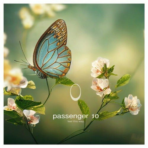 Passenger 10 - Feel This Way [NA039]
